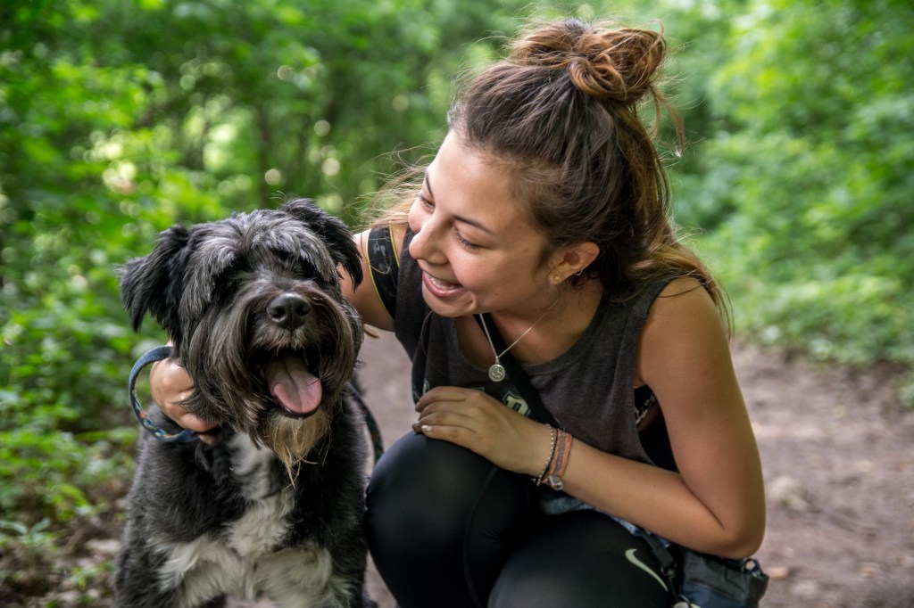A photo of Bianca and Zara, the two adorable hostel dogs at Kismet Dao Hostel in Brasov. These furry friends love to play and cuddle with guests, adding an extra touch of warmth and hospitality to your stay at the hostel.