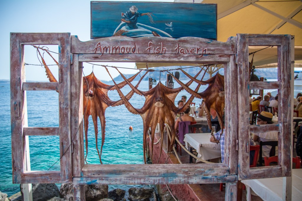 Octopus in Ammoudi Bay, Santorini. Discover the unique seafood cuisine of Santorini with our travel blog.