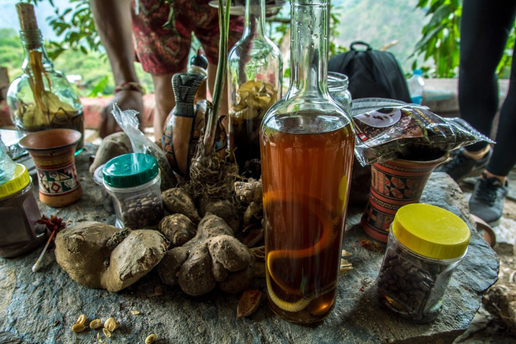 Exploring a unique eco-farm with exotic flavors - snake rum, peculiar beans, and heavenly honey-stevia chocolate.