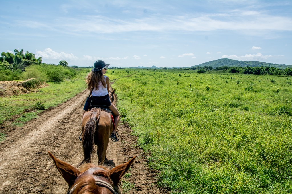 Adventurous 5-hour horse riding tour with Elvis & Isobel tours, exploring stunning landscapes and hidden gems.