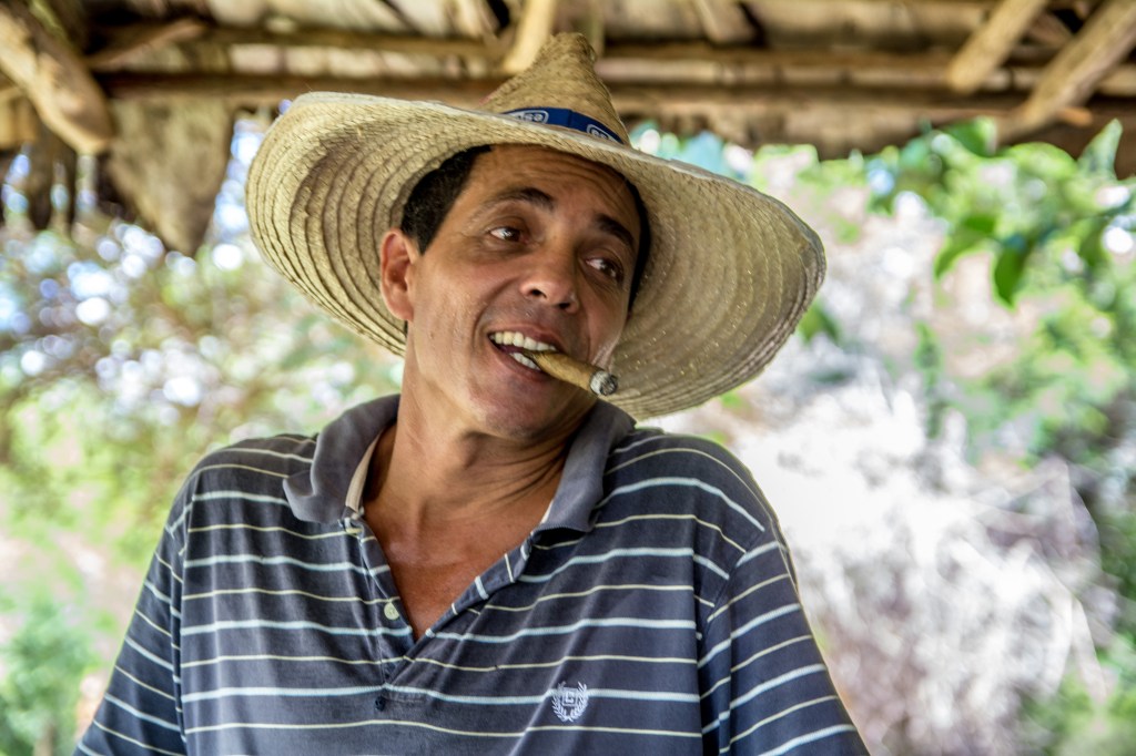 Horse riding tour with Elvis & Isobel tours, including top-rated restaurant, coffee plantation, and waterfall.