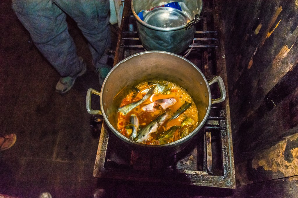 Cooking freshly caught Piranha fish for dinner - a delicious culinary experience.