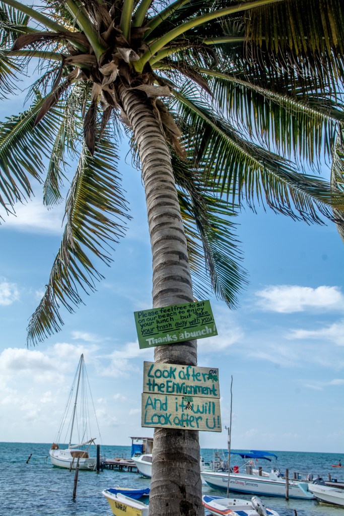 Captivating Island Life in Caye Caulker, Belize - Exploring Paradise on a Traveler's Journey