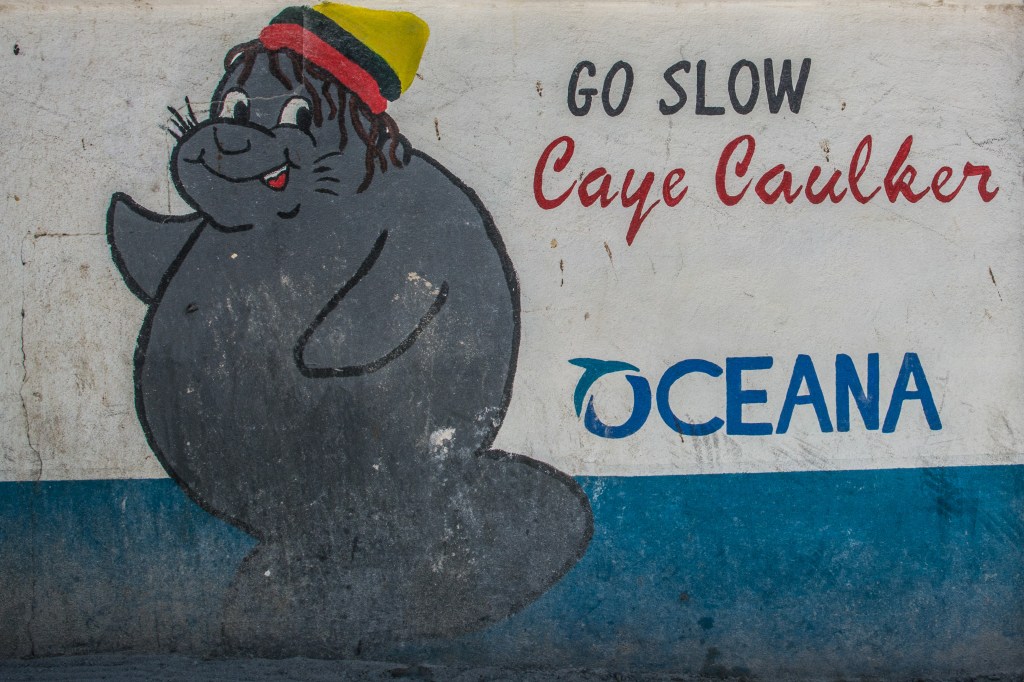 Captivating Beauty of Caye Caulker, Belize - Tropical Paradise for Travelers