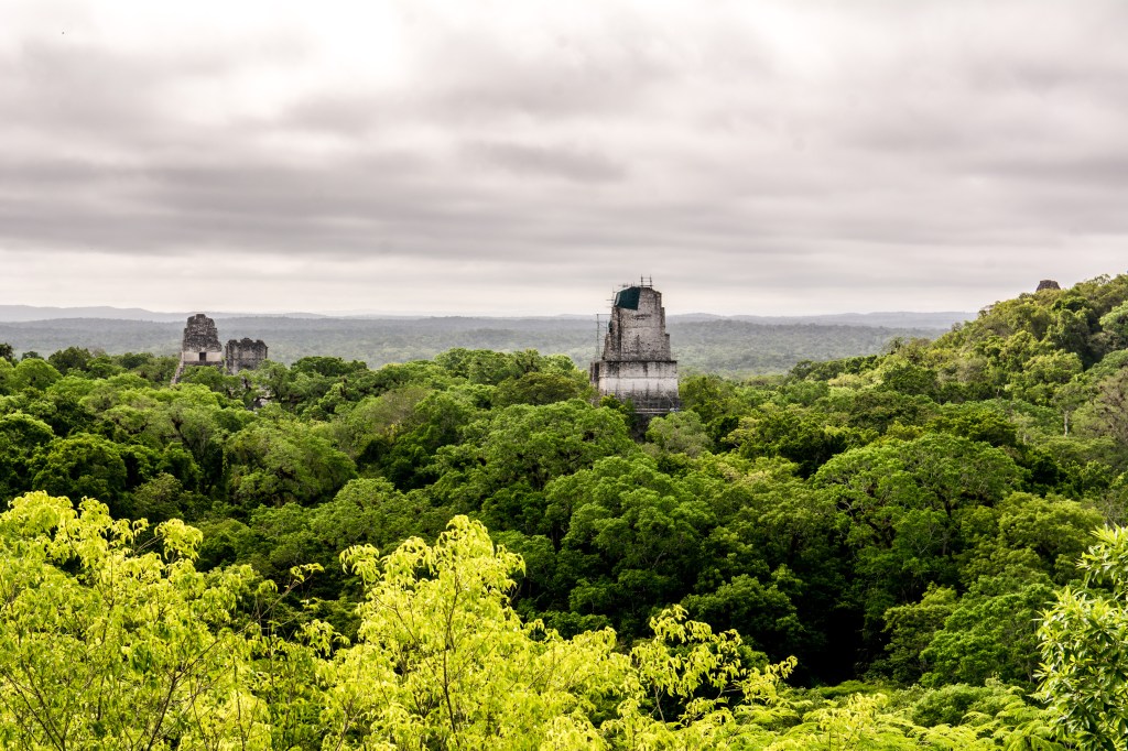 Discovering the Enigmatic Beauty of Tikal, Guatemala - Ancient Mayan Ruins Amidst Jungle