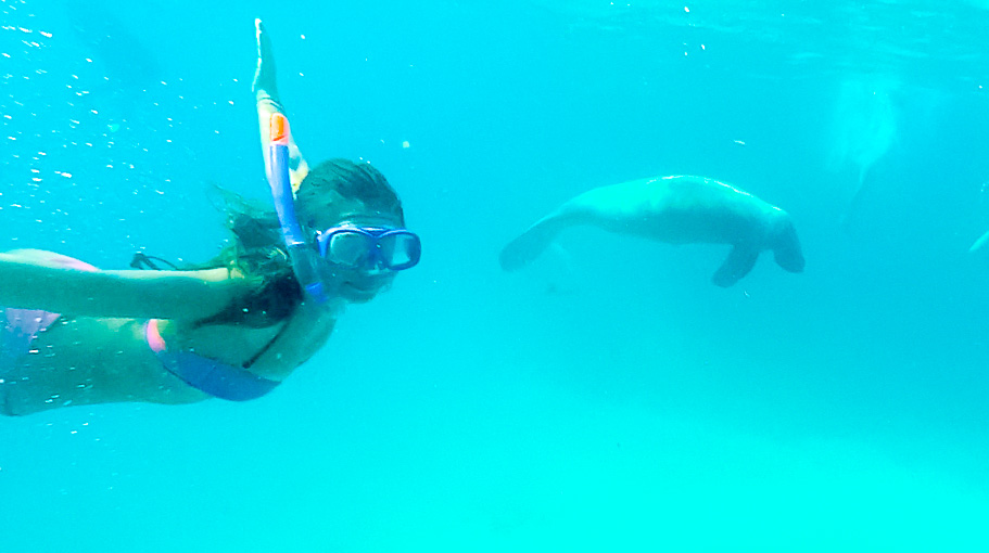 Bianca Swimming with Sea Manatees at Hol Chan Marine Reserve - Unforgettable Wildlife Encounter