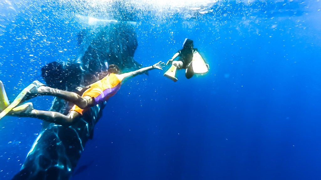 Epic Encounter - Bianca and Brett Swimming with Whale Sharks in Cancun.