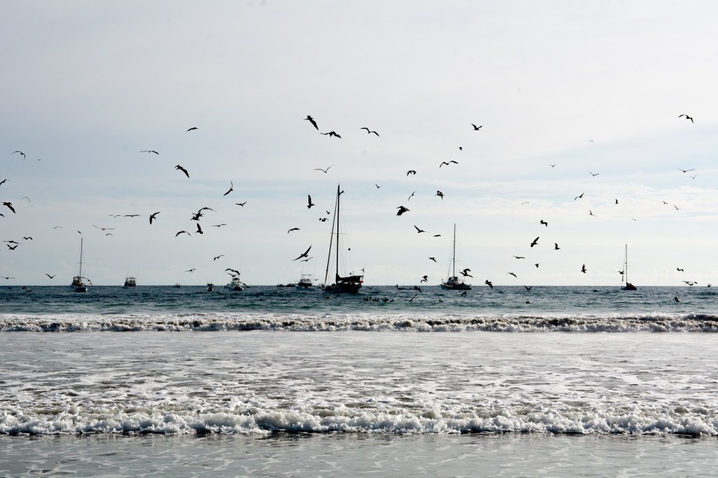 San Juan Del Sur Playa - Nicaragua's Coastal Paradise