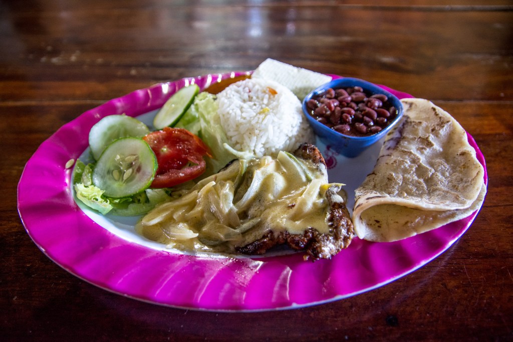 Plato Tipico - Iconic Latin American Dish with Beef, Fish, or Chicken, Beans, Rice, Plantains, and Salad