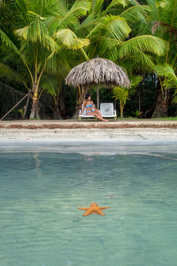 Exploring Starfish Beach - Playa De Las Estrellas, Isla Colon' - Discover the beauty of Starfish Beach on Isla Colon, where snorkeling reveals a stunning display of starfish. Accessible from the main town via a collectivo van, this natural wonder awaits your exploration.