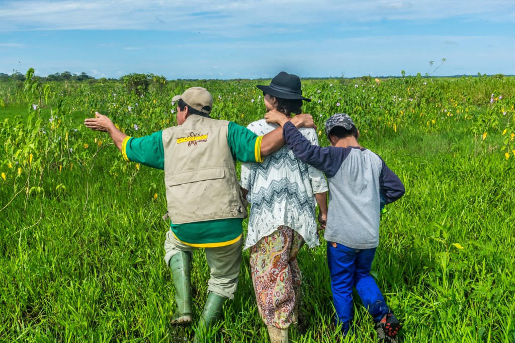 Image featuring Bianca, tour guide Jose, and his son searching through long grass for an Anaconda snake during an adventurous exploration in Bolivia's wilderness.