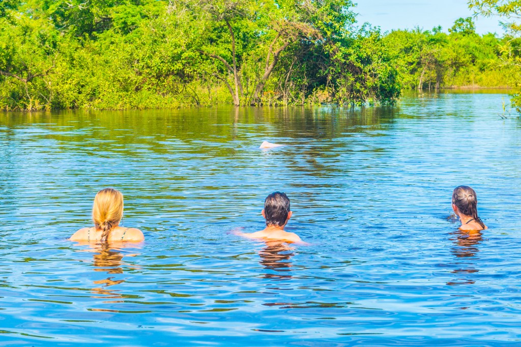 Image capturing Bianca and Brett swimming with Pink Dolphins in the Amazonian River in Bolivia, showcasing the rare and enchanting wildlife experience in South America.