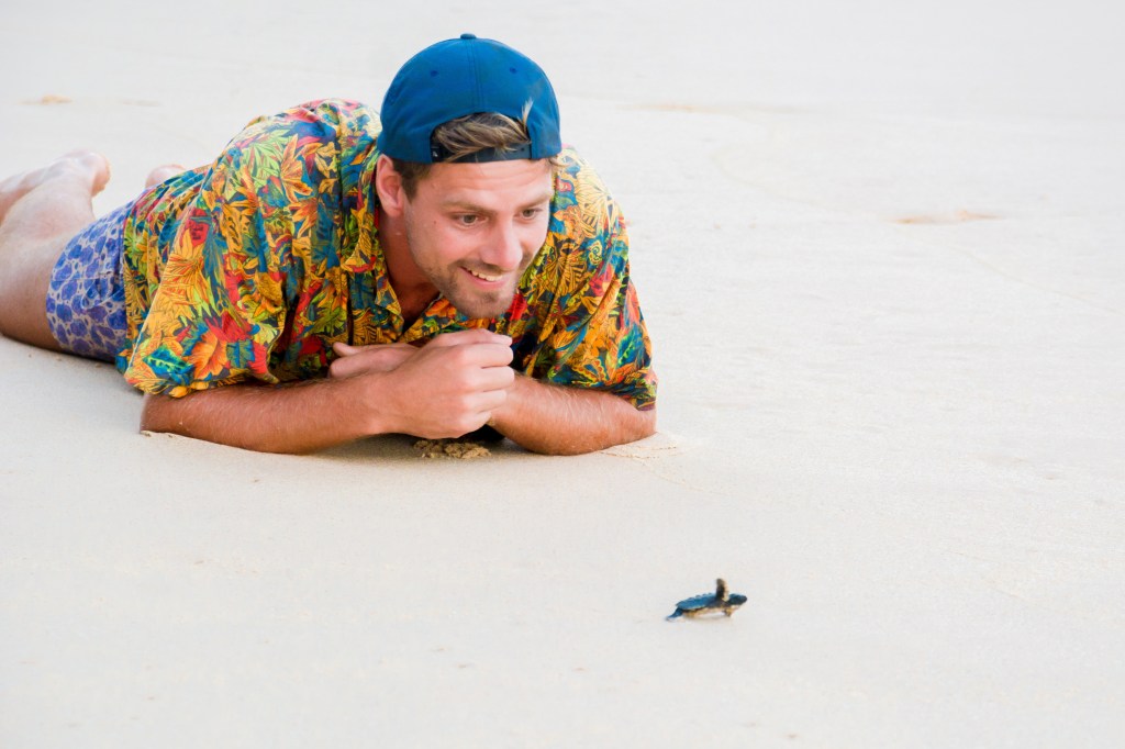 Image showing Brett cheering as he guides a 2-day-old baby olive Ridley turtle back into the water, contributing to conservation efforts.