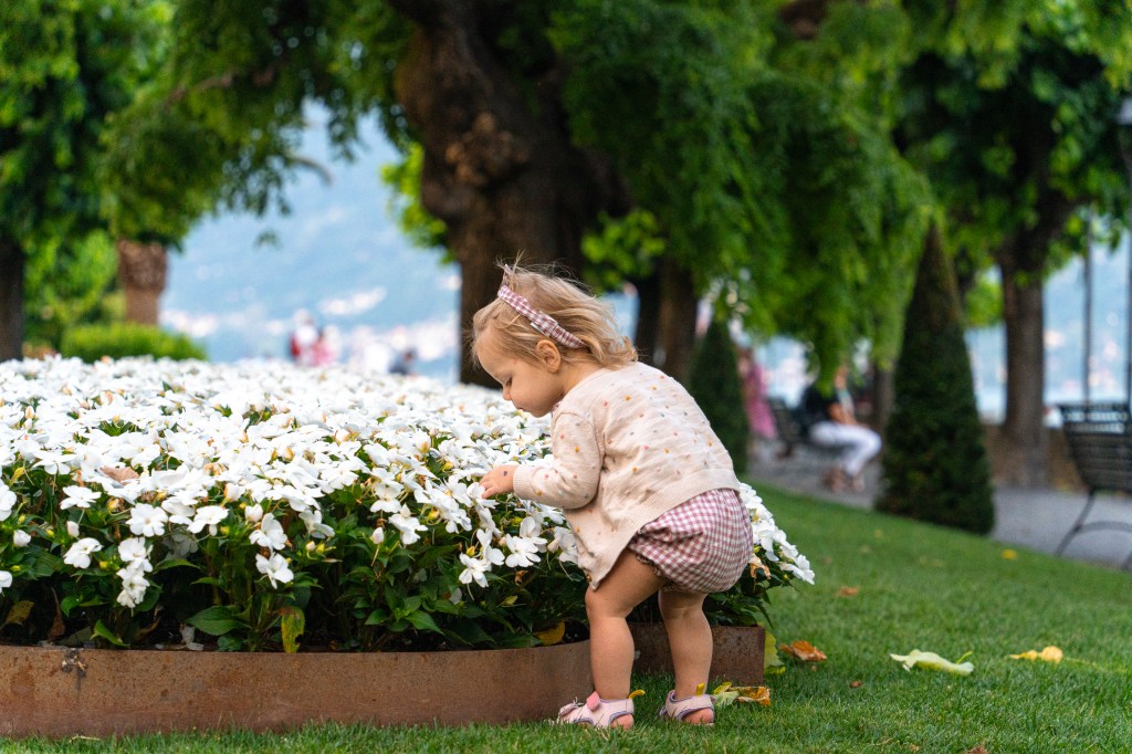 Sweet moment captured of Florence, a young girl, smiling while smelling colorful flowers in the charming town of Menaggio, situated on the picturesque shores of Lake Como.