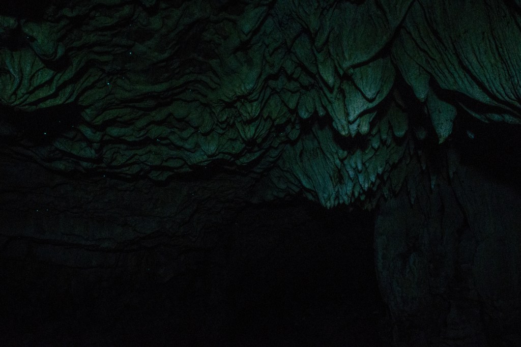 Admiring the mesmerizing glow worms in the Waitomo Caves. Witness nature's light show as these bioluminescent creatures illuminate the cave ceiling, creating a magical and unforgettable experience in New Zealand.