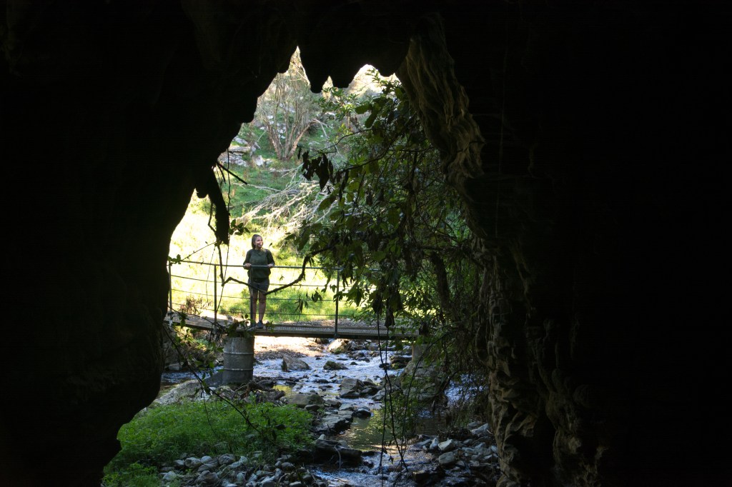 Experience the must-see Essential Spellbound Tour, ideal for all ages. Explore captivating sights and enjoy kennel services for your furry friends. A complete adventure package in New Zealand.