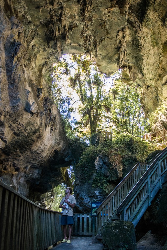 xperience the awe-inspiring beauty of walking through an impressive limestone gorge that passes underneath a 17-meter-high natural arch. A breathtaking natural wonder to explore in New Zealand.
