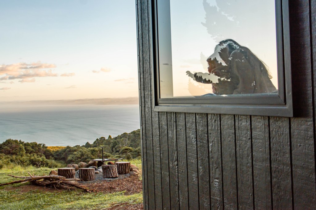 Family enjoying a special stay at an Unyoked cabin in Raglan, New Zealand - nature retreat surrounded by forest.
