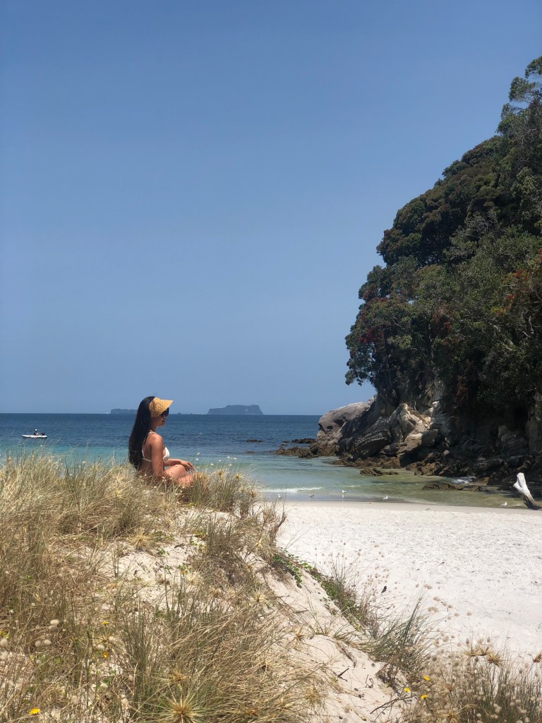 Sailors paradise accessible only by boat, pristine sand, exclusive beach destination, New Zealand