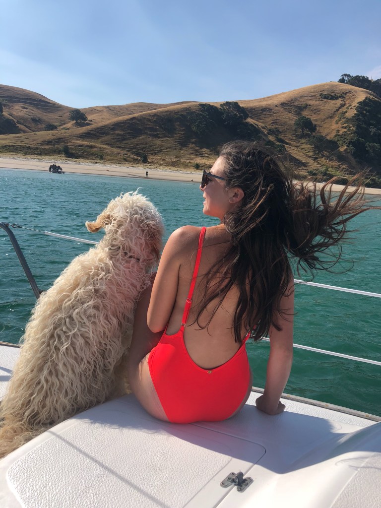 Sailor's paradise in New Zealand, accessible only by boat, featuring the best pristine sand, idyllic beach destination