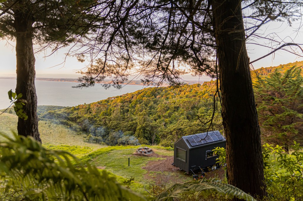 Secluded cabin nestled in the Raglan woods, New Zealand - peaceful nature retreat surrounded by lush forest.