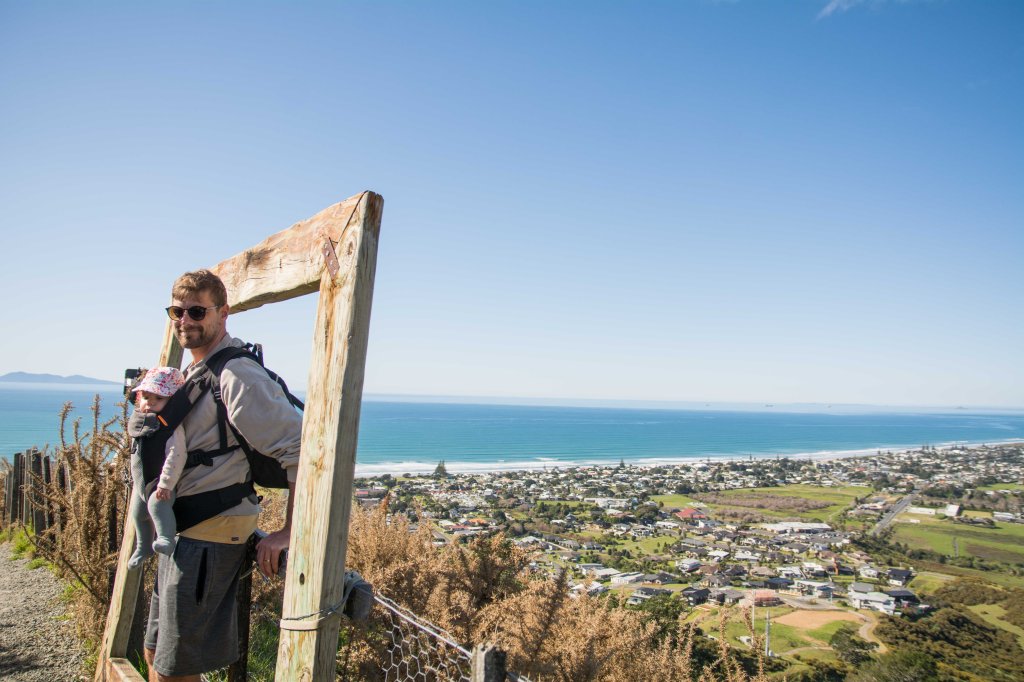 Stunning view from Trig Walk, New Zealand, panoramic lookout, scenic hiking destination