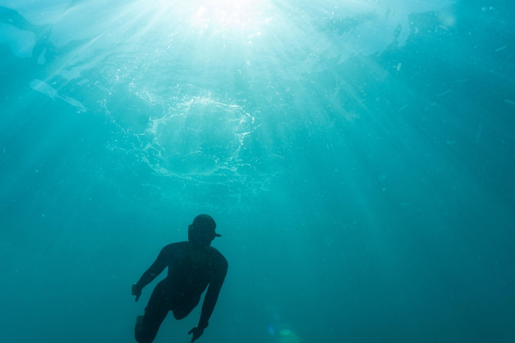 Highly recommend diving with Cathedral Cove Dive and Snorkel Hahei for an unforgettable New Zealand underwater adventure.