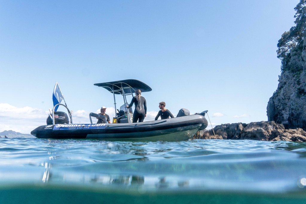 Snorkeling at Cathedral Cove Beach, exploring vibrant sea life in the marine reserve on a New Zealand adventure.
