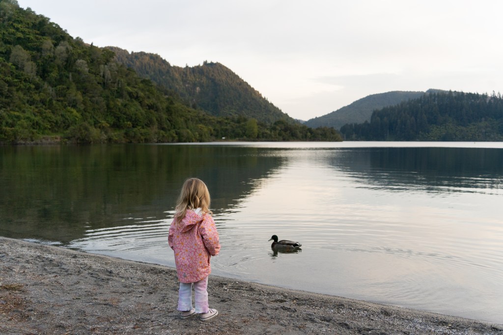 Florence feeding ducks by the shores of Blue Lake (Lake Tikitapu) in Rotorua, New Zealand — family-friendly outdoor activity surrounded by nature.