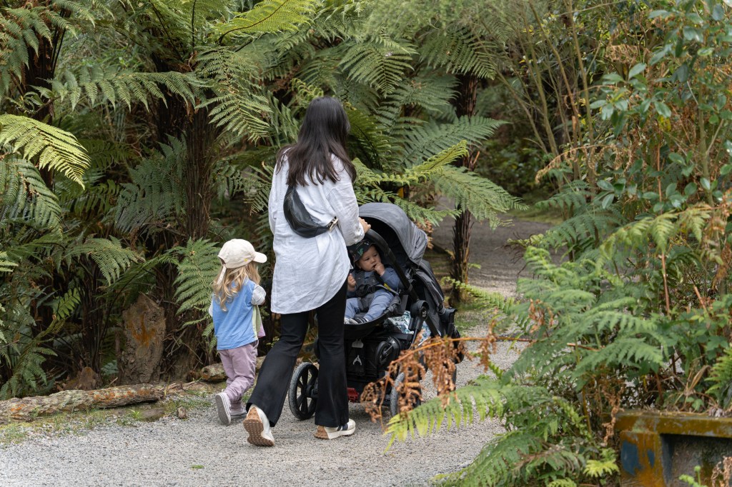 Family enjoying a scenic walk through the towering Redwoods Forest in Rotorua, New Zealand — kid-friendly nature trail and outdoor adventure.