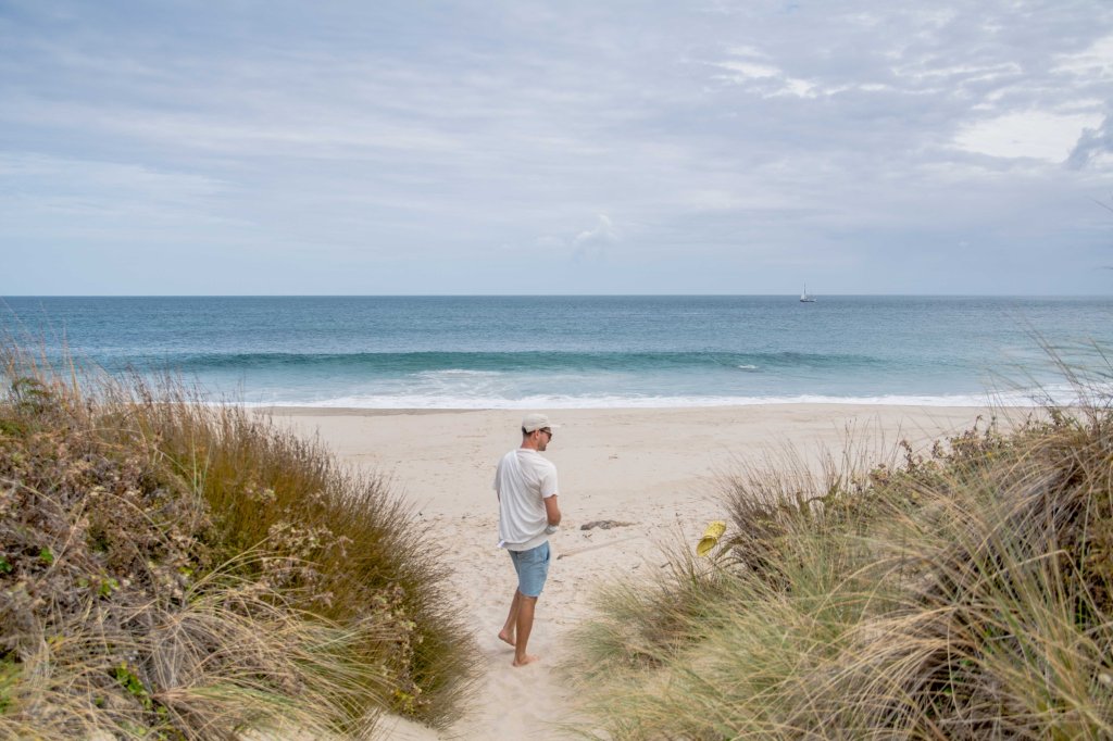 Scenic walk down to the beach at Arai Te Uru Nature Reserve, pristine coastal reserve in Northland, New Zealand