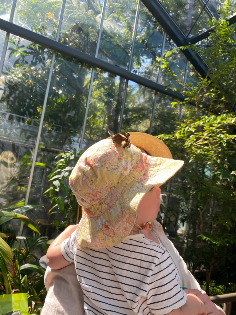 Florence visiting the butterfly enclosure at Melbourne Zoo, watching colourful butterflies up close.